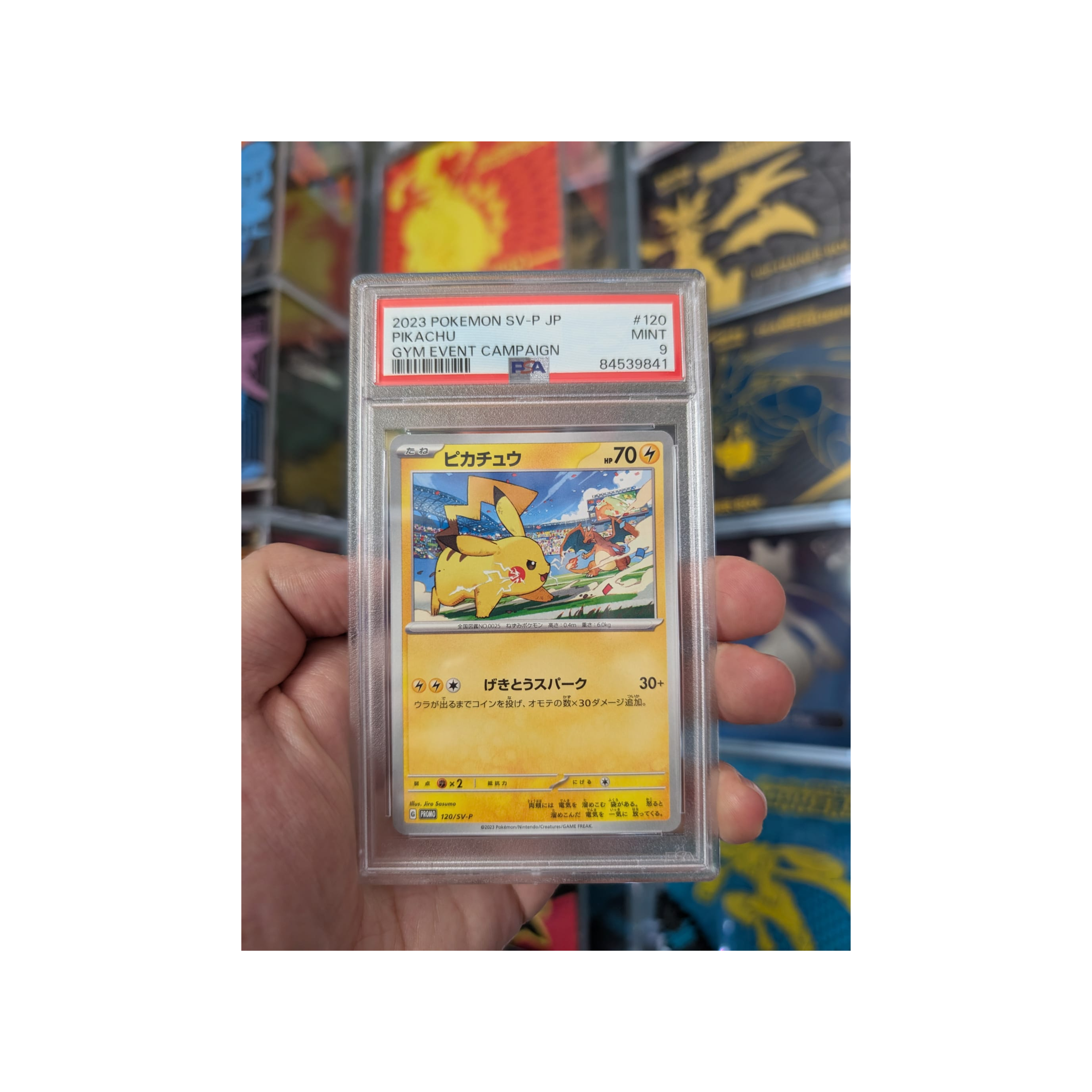 Pikachu Gym Event Campaign 120/SV-P 2023 Japanese PSA 9